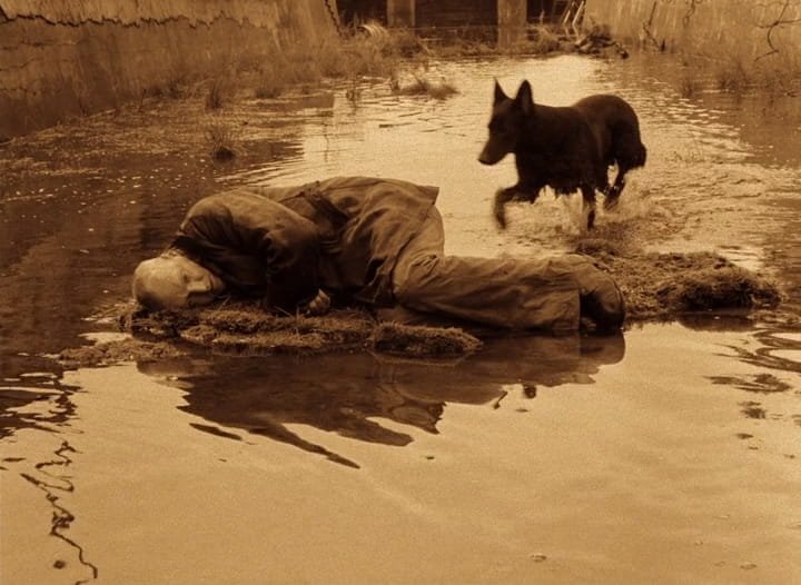 Em sépia, o Stalker (Aleksandr Kaidanóvski) dorme encolhido sobre um trecho de terra no meio da água, enquanto um cão negro se aproxima, em Stalker (1979), de Andrei Tarkóvski.